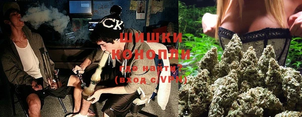 прущие крисы Тында