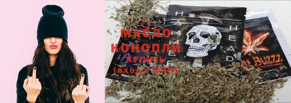 дживик Краснослободск
