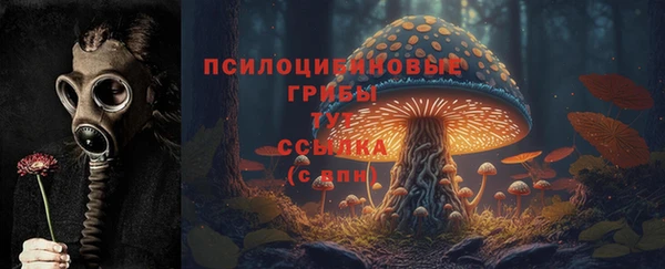 синтетический гашиш Туринск